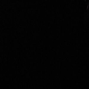 Meet your Posher, Allie