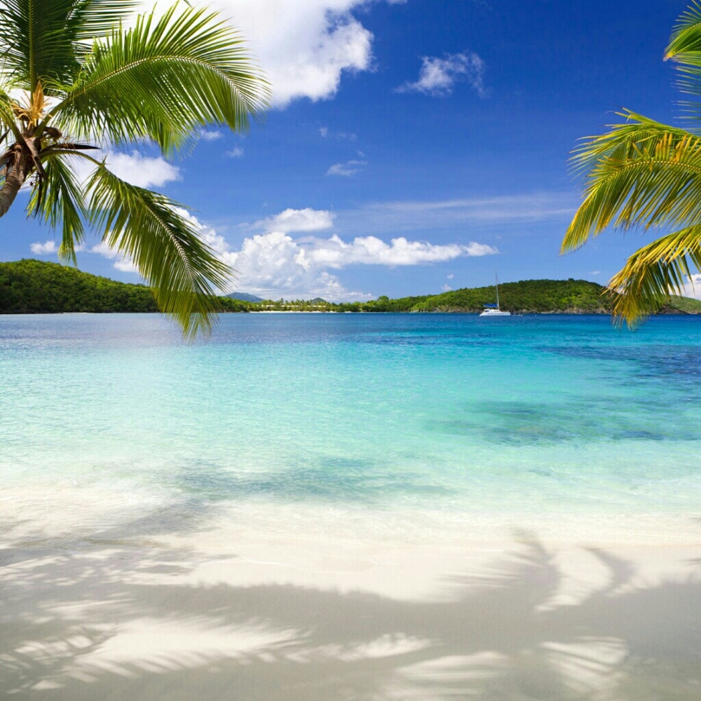 Meet your Posher, Lindsay