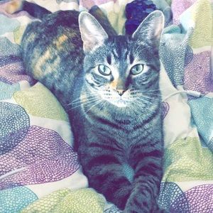 Meet your Posher, Maureen