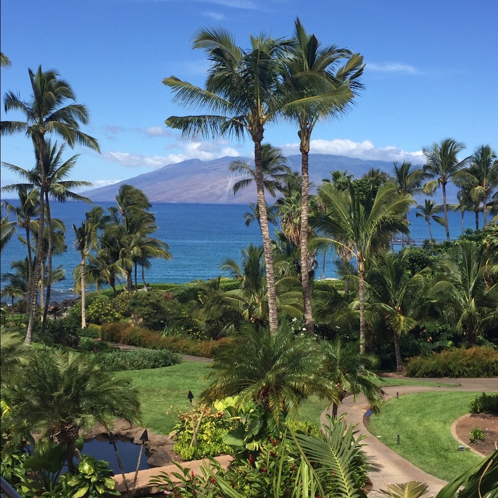 Meet your Posher, Nydia