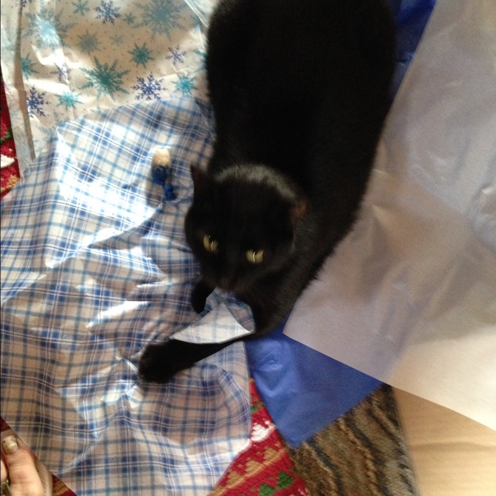 Meet your Posher, Jan