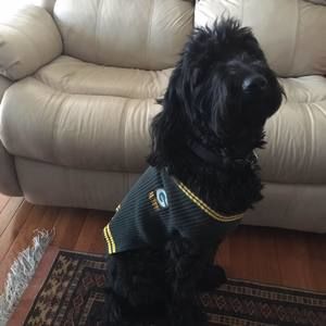 Meet your Posher, Shelly