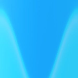 Meet your Posher, Will