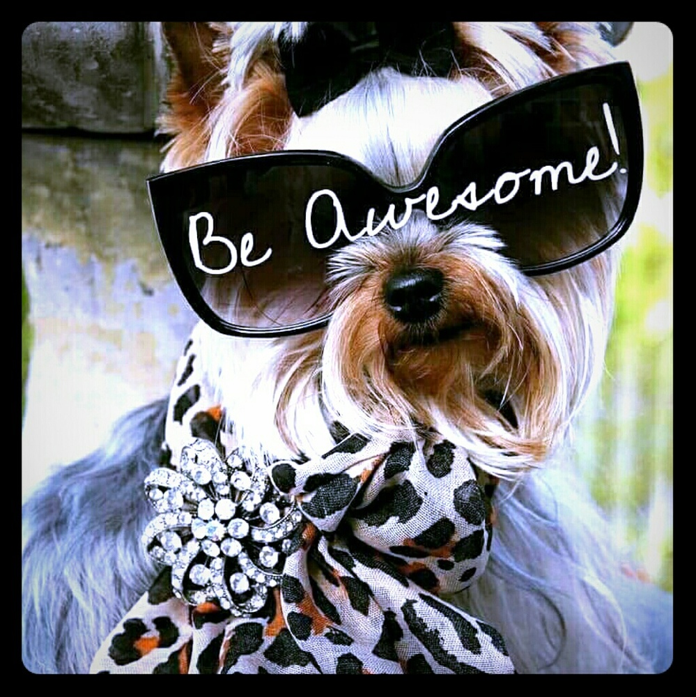 Be Awesome!