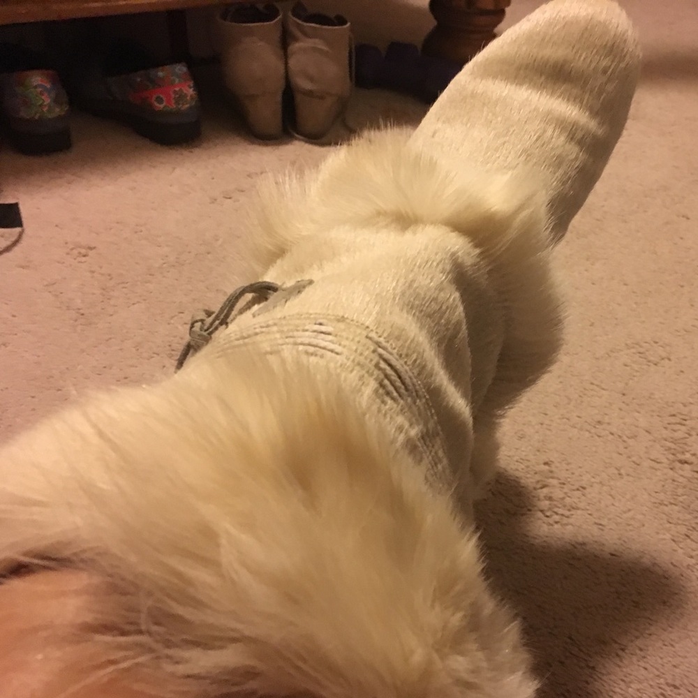 Técnica Fur Boots