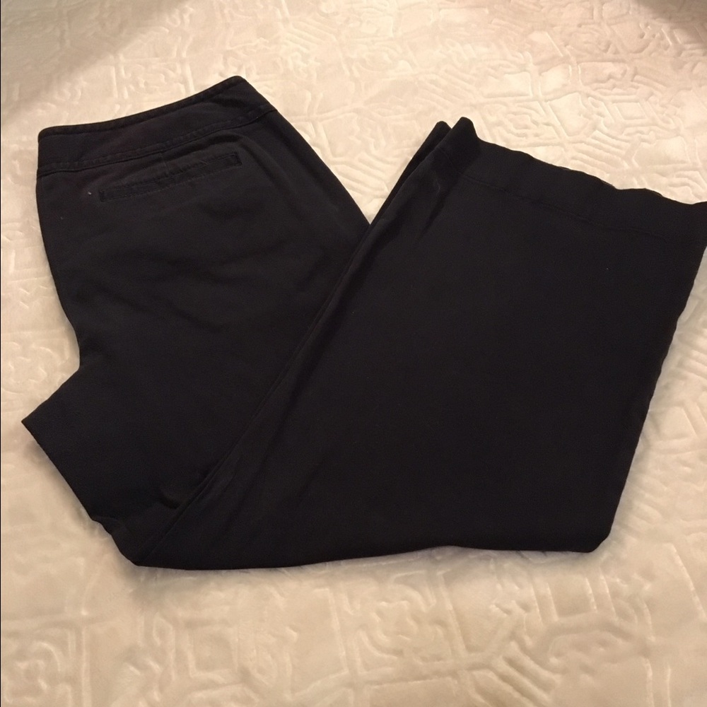 Ann Taylor Loft 14P boot cut pants