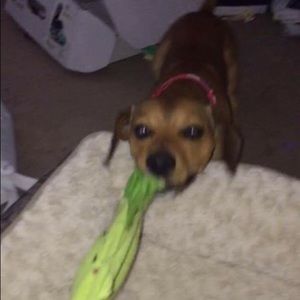 Meet your Posher, Ling