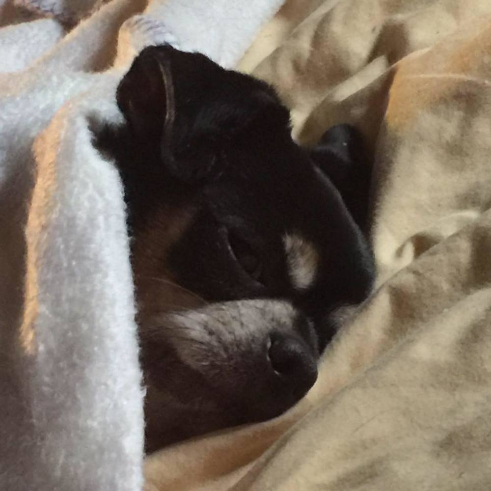 Meet your Posher, Jeremy