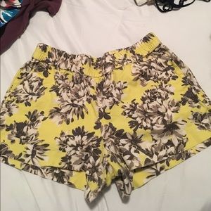 J. Crew size 6 shorts