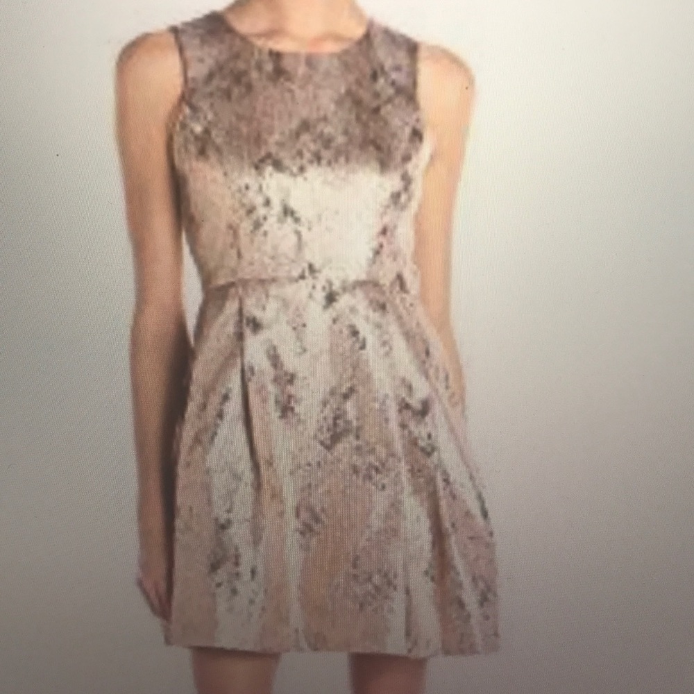 Jessica Simpson Cocktail Dress