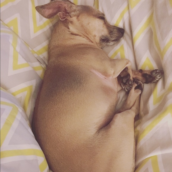 Meet your Posher, Mackenzie - Picture 4 of 7