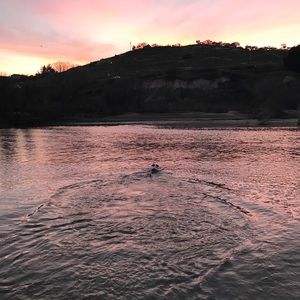 Meet your Posher, Lindsey