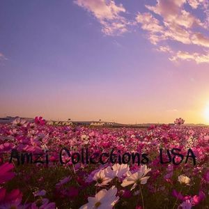 Meet your Posher, Zilla