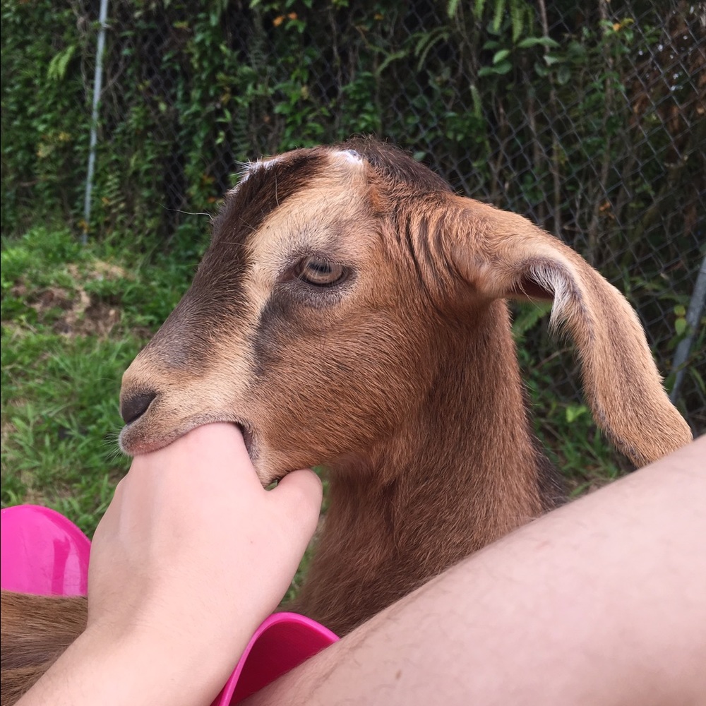 Meet your Posher, Aim