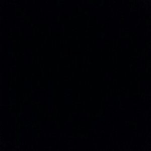 Meet your Posher, Misty