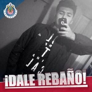 Meet your Posher, Alex