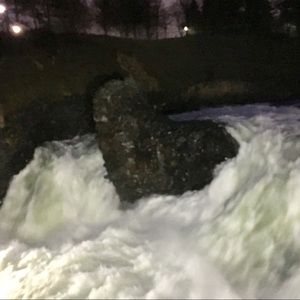 Meet your Posher, Wendy