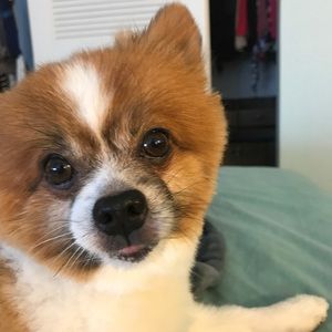 Meet your Posher, Marlo