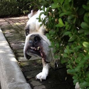 Meet your Posher, Rocio