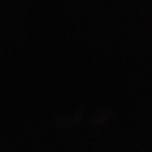 Meet your Posher, Carolina