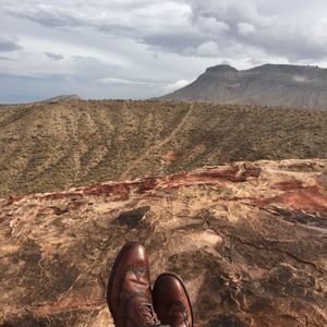 Meet your Posher, Shane