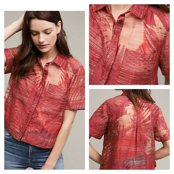 Anthropologie Tops - Maeve Sheer Short Sleeve Button Up
