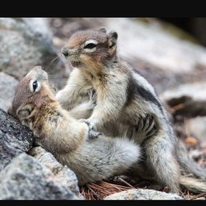 Meet your Posher, Mitch