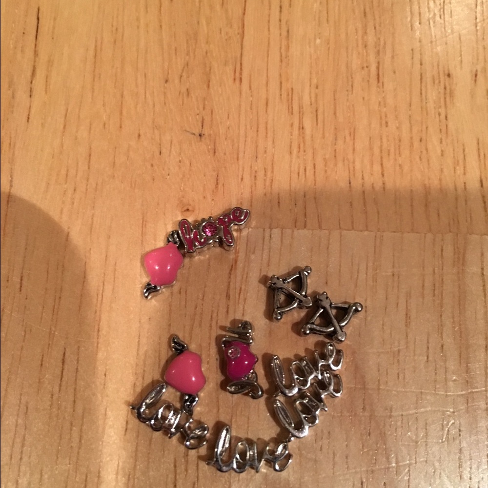 Origami Owl Charms