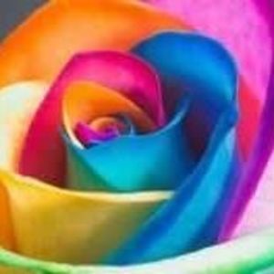 Meet your Posher, Brandy