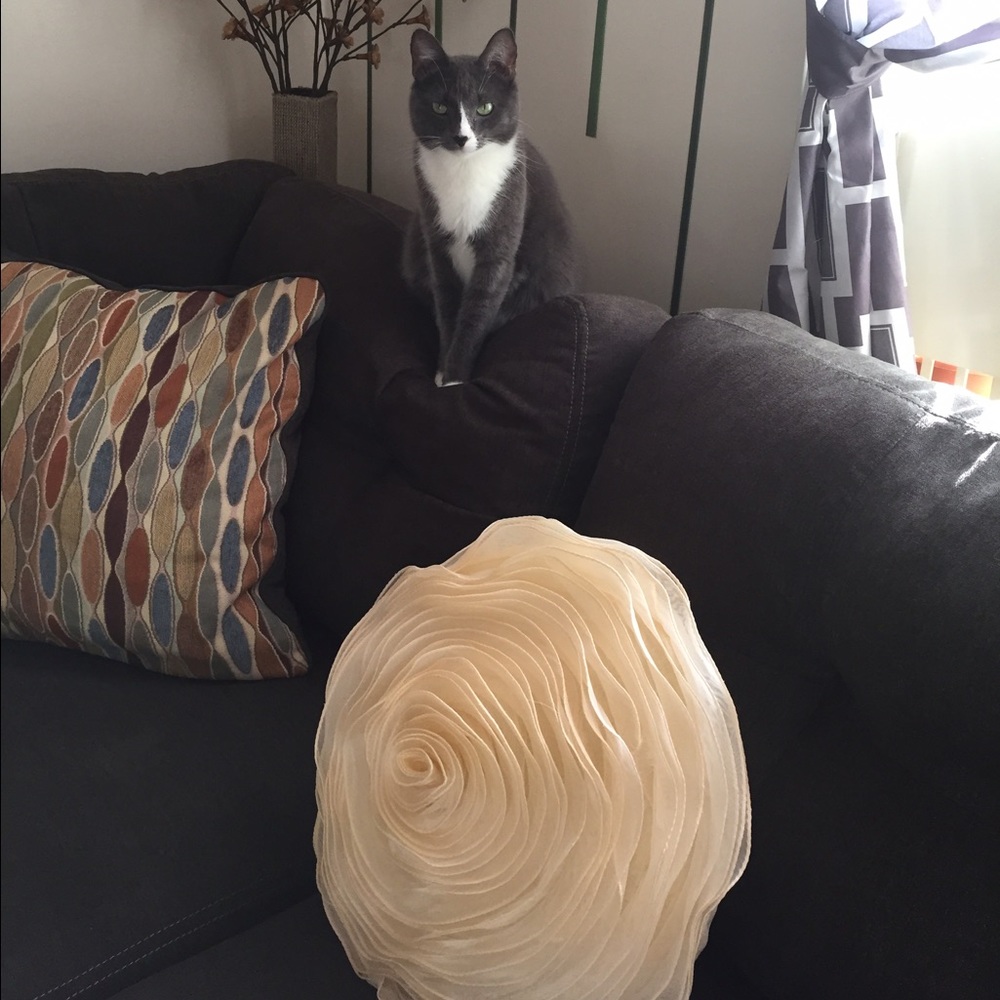 Bundle and save 👠👙👚👗👢👖👡🌺🌷🌸🌹