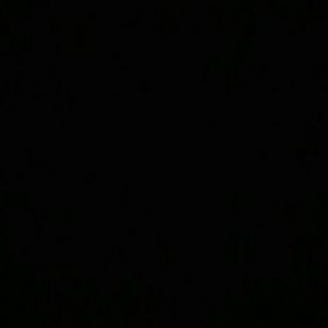 Meet your Posher, Carolina