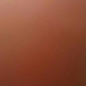 Meet your Posher, Barbie