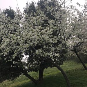 Meet your Posher, Tim