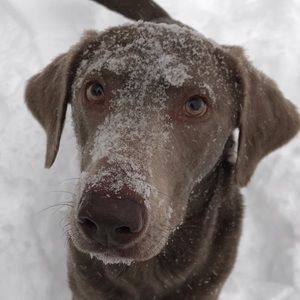 Meet your Posher, Vanessa