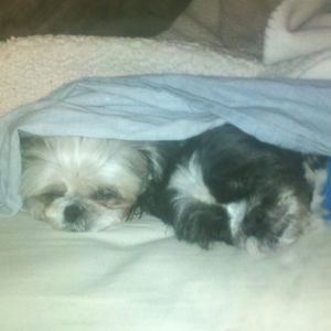 Meet your Posher, Tina