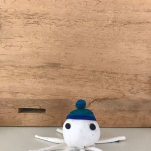 Meet your Posher, Tom