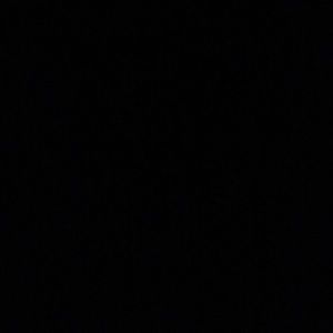 Meet your Posher, Melvin