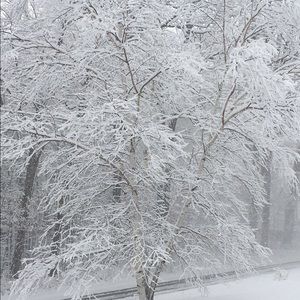 Meet your Posher, Barb