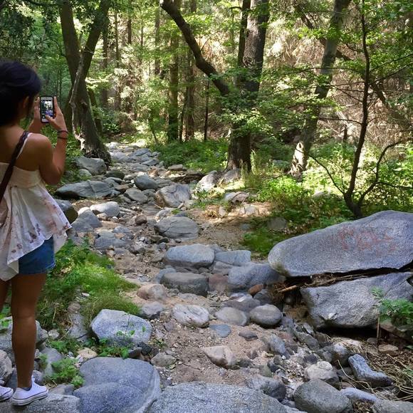 Meet your Posher, Katelyn - Picture 1 of 1