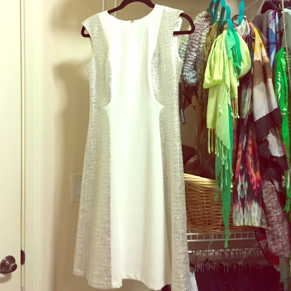 Badgley Mischka Ivory Silver Dress