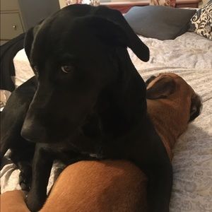 Meet your Posher, Olivia