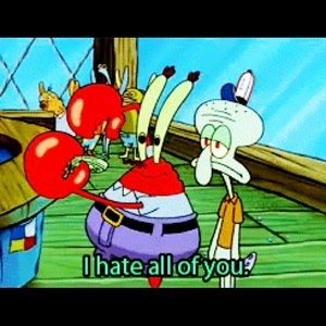 Meet your Posher, Rory