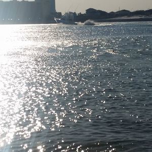 Meet your Posher, Brittnie