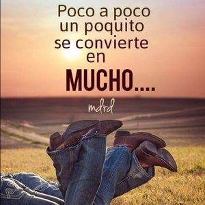 Meet your Posher, Elsa