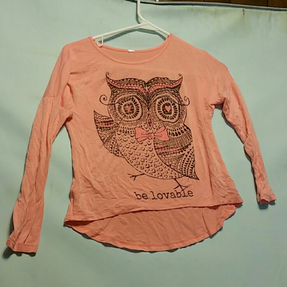 Owl Cropped  Tee