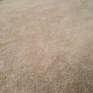 Meet your Posher, Sondra