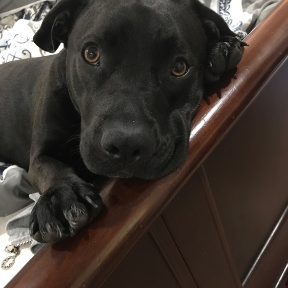 Meet your Posher, Kristi - Picture 5 of 8