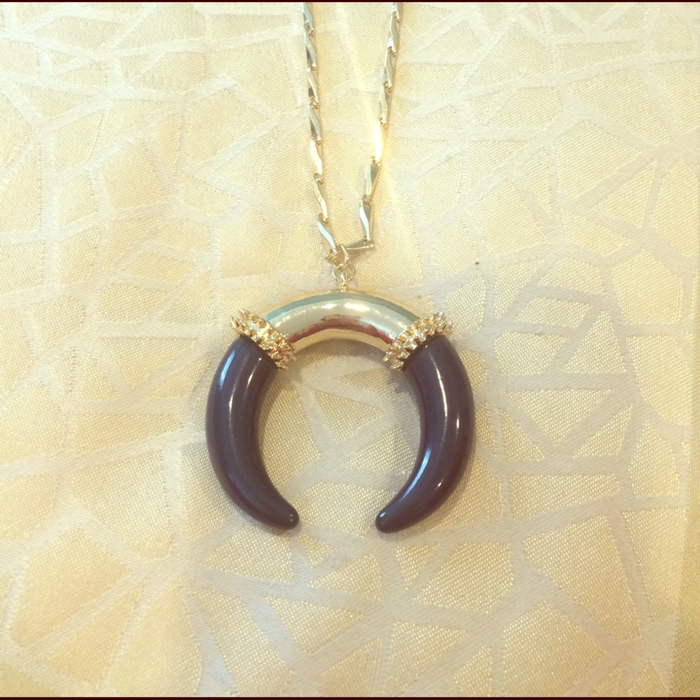 Horn Necklace