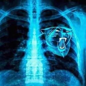 Meet your Posher, Terrance