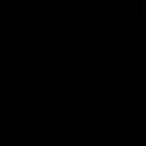 Meet your Posher, Devin